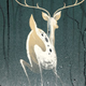 Forest Of Memory by Mary Robinette Kowal